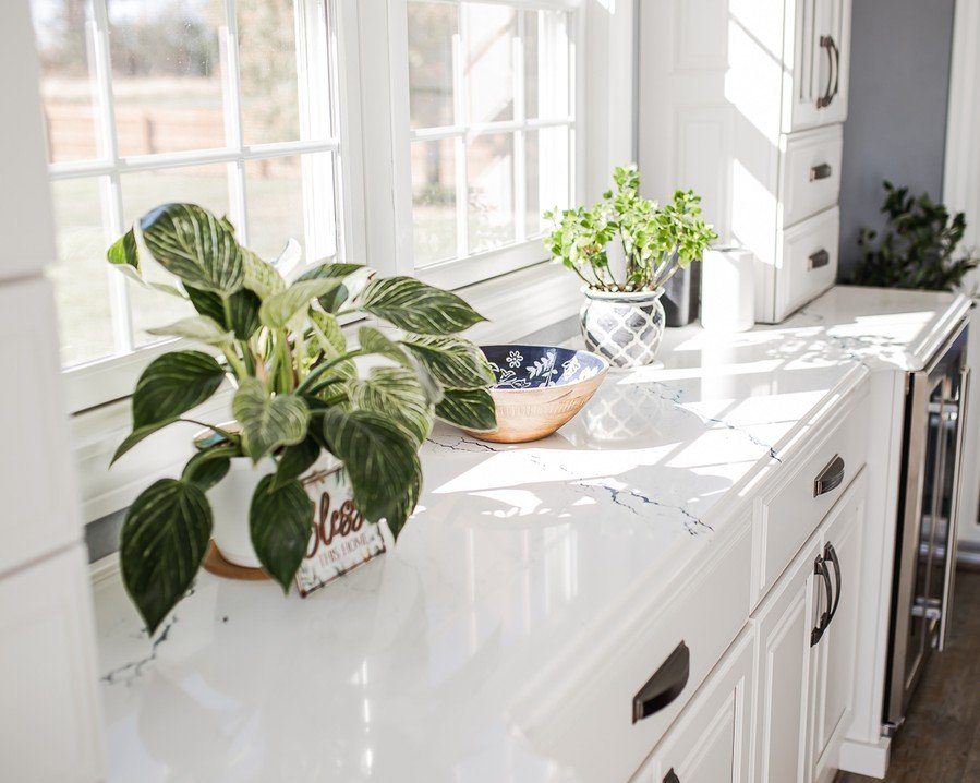 A Peek Into Our Recent Projects
