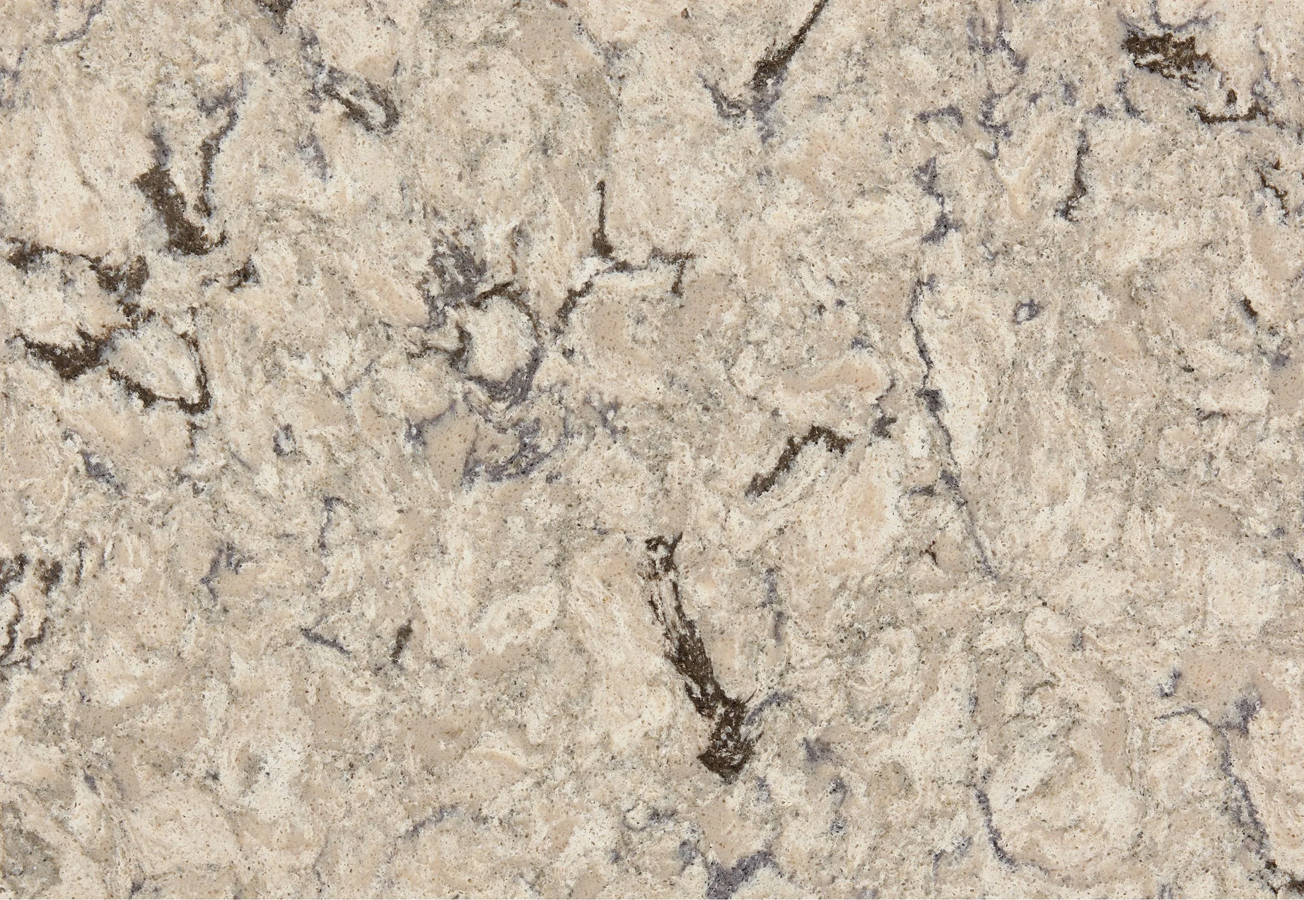 Cambria Halewood