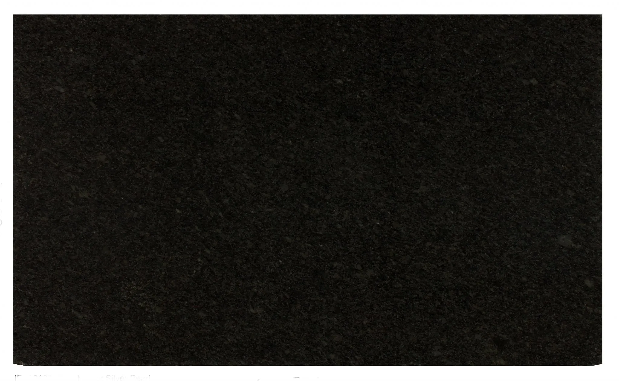 Gris Pearla granite full slab